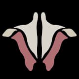 Institute of Human Anatomy