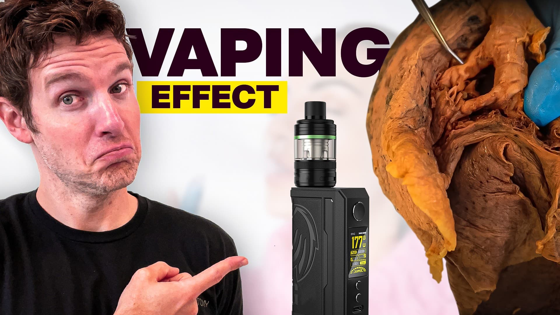 Institute of Human Anatomy thumbnail 1