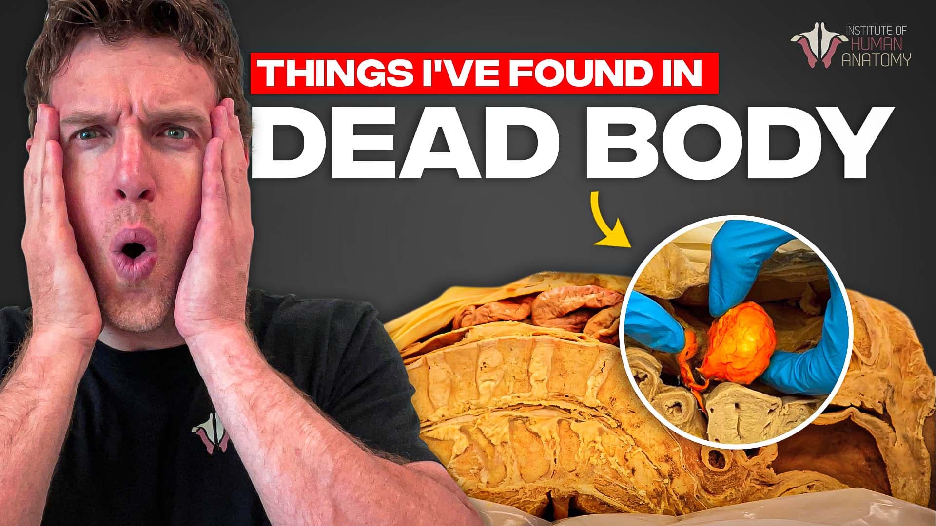 Institute of Human Anatomy thumbnail 4