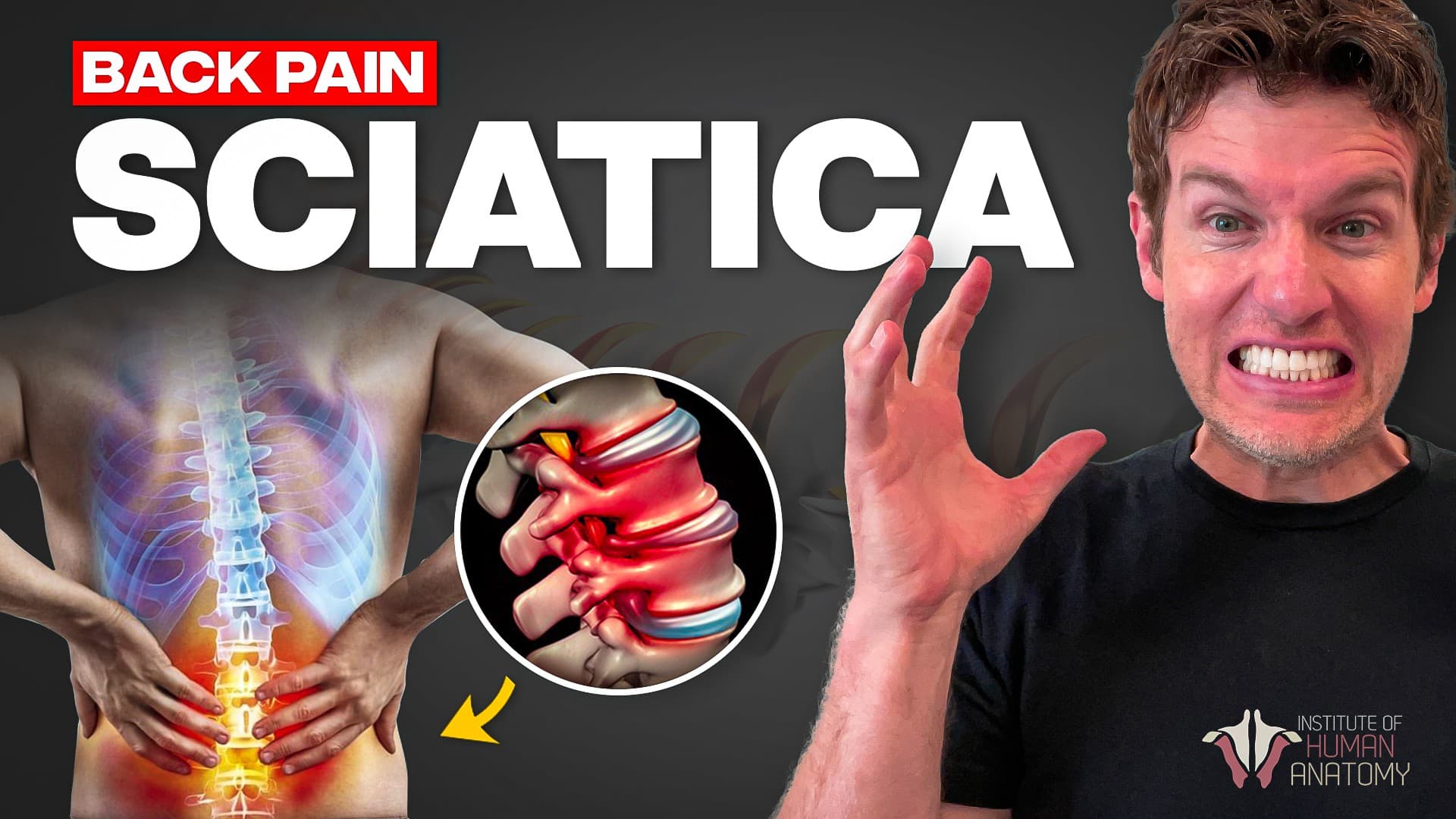 Institute of Human Anatomy thumbnail 6